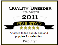 Huskerland bulldogs best puppies on sale