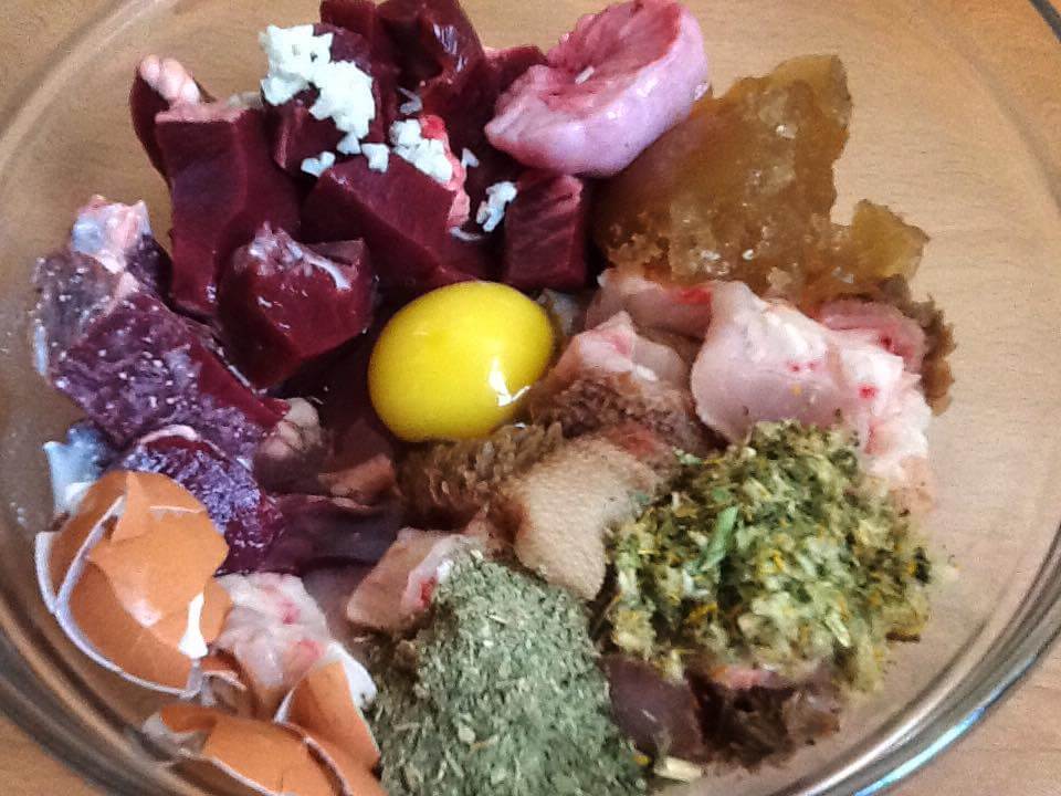 Easy Raw Dog Food Recipes